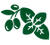 CONTEMPORARY CRUSHING<br> of olives and basil